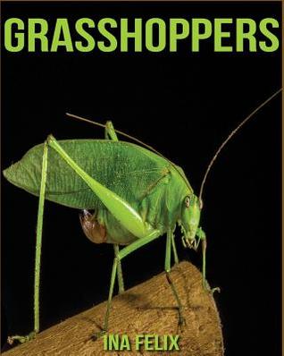 Full Download Grasshoppers: Children Book of Fun Facts & Amazing Photos on Animals in Nature - A Wonderful Grasshoppers Book for Kids Aged 3-7 - Ina Felix | ePub