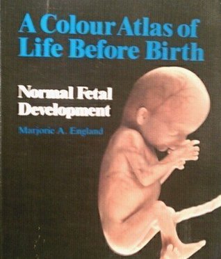 Full Download Color Atlas of Life Before Birth: Normal Fetal Development - Marjorie A. England file in PDF