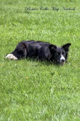 Read Online Border Collie May Notebook Border Collie Record, Log, Diary, Special Memories, To Do List, Academic Notepad, Scrapbook & More - Collie World file in PDF