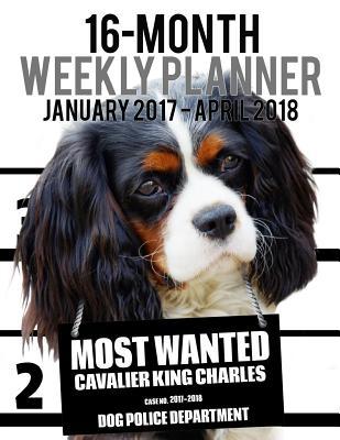 Read Most Wanted Cavalier King Charles 2017-2018 Weekly Planner - 16 Month: Large (11 X 8.5-Inches) Daily Diary Monthly Yearly Calendar -  file in PDF