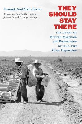 Download They Should Stay There: The Story of Mexican Migration and Repatriation During the Great Depression - Fernando Saaul Alanais Enciso | ePub