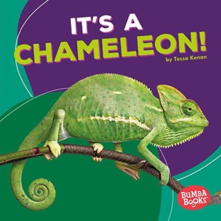 Read Online It's a Chameleon! (Bumba Books ™ — Rain Forest Animals) - Tessa Kenan | ePub