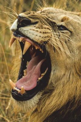 Read Lion Roars Journal: 150 Page Lined Notebook/Diary -  | ePub