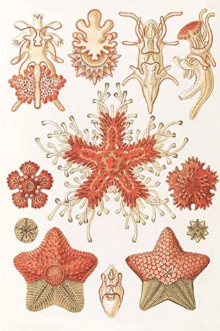 Download Haeckel scientific biological art notebook: Vintage Science Illustrations N°40 from Kunstformen der Nature / Art forms in nature ; composition journal with 120 pages of blank graph paper - Brians Pd Art file in ePub